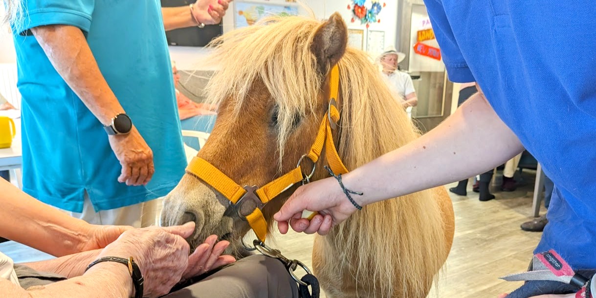 Pony im Pflegeheim