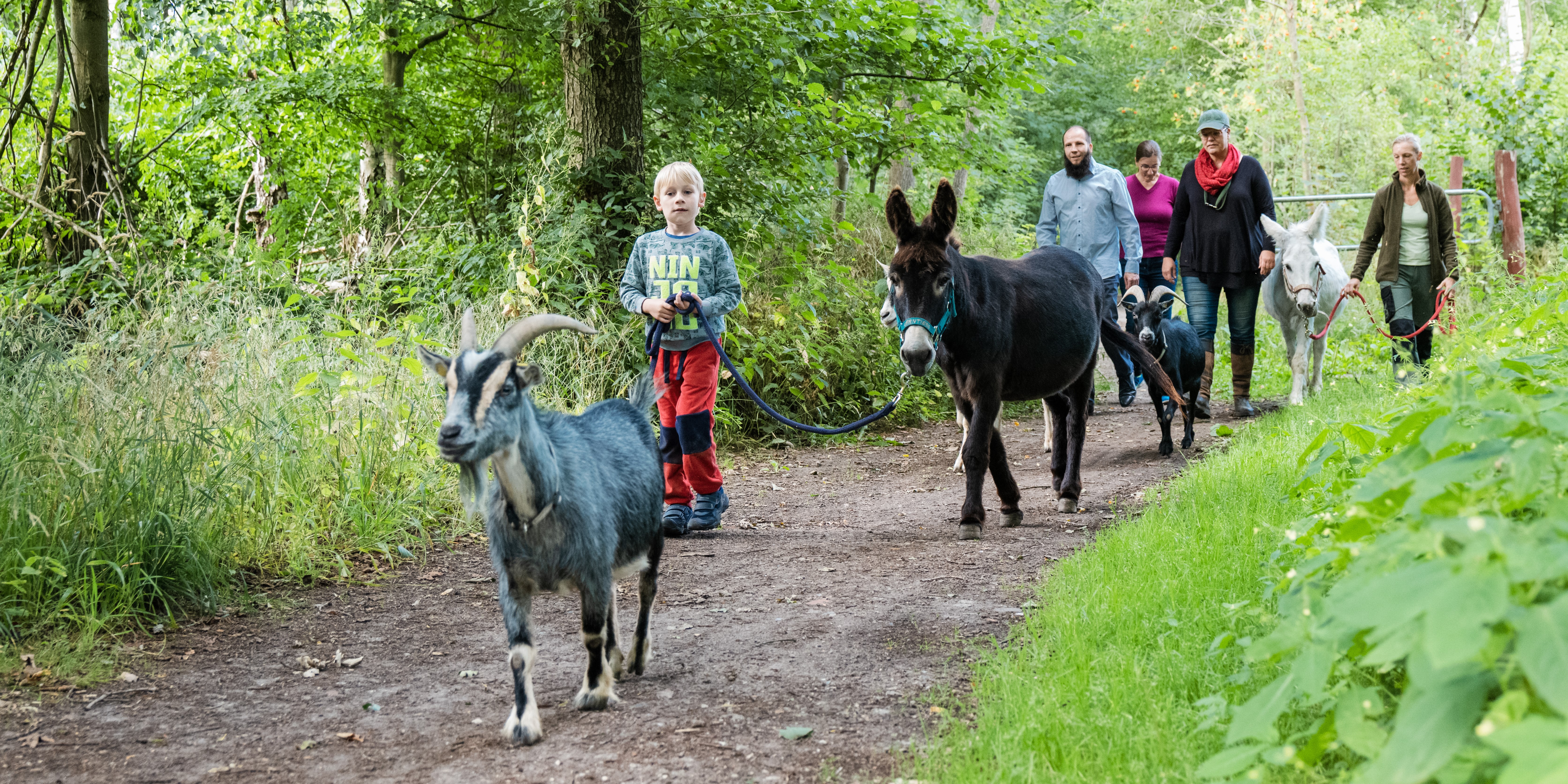 TierErlebnisTouren