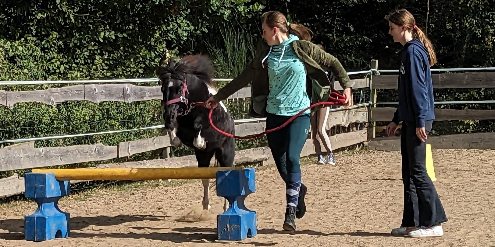 Tiergestützte Pädagogik