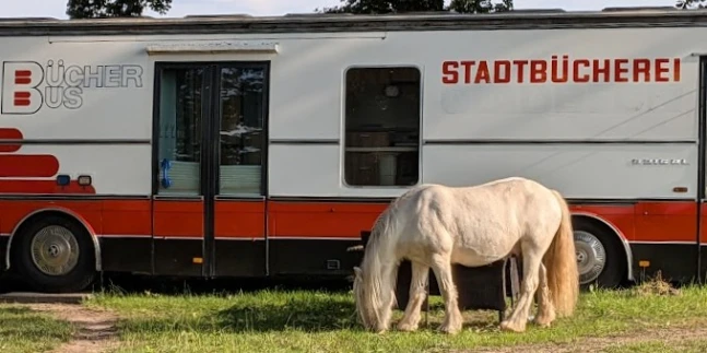 B&B im Bus - Merlin vor Bruno